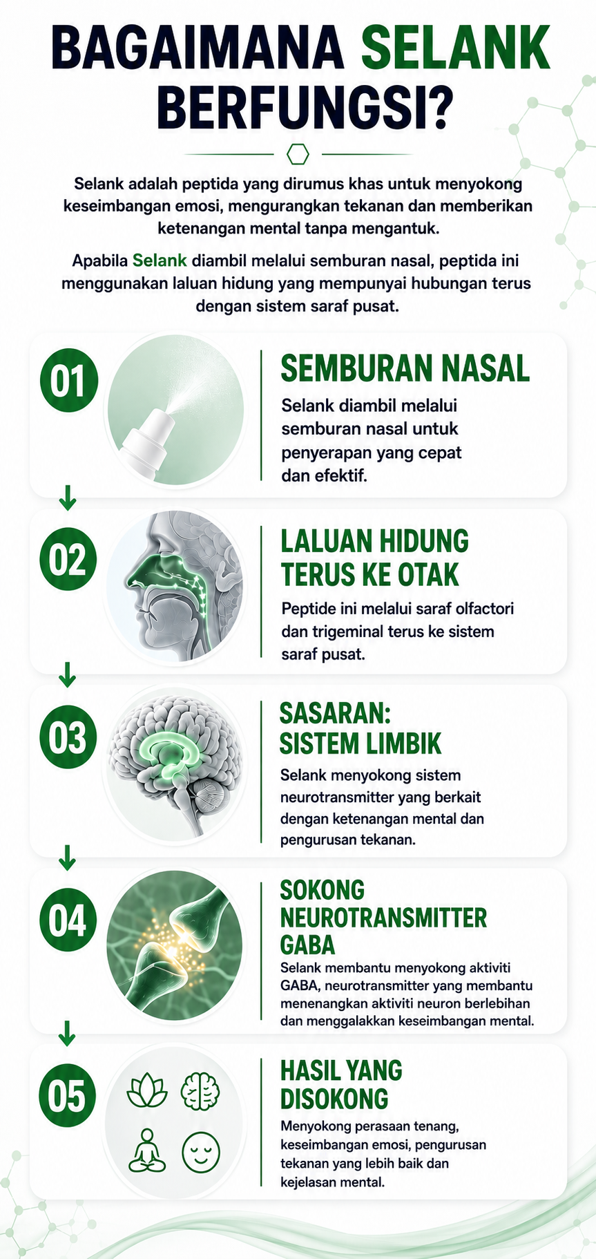Bagaimana Selank berfungsi