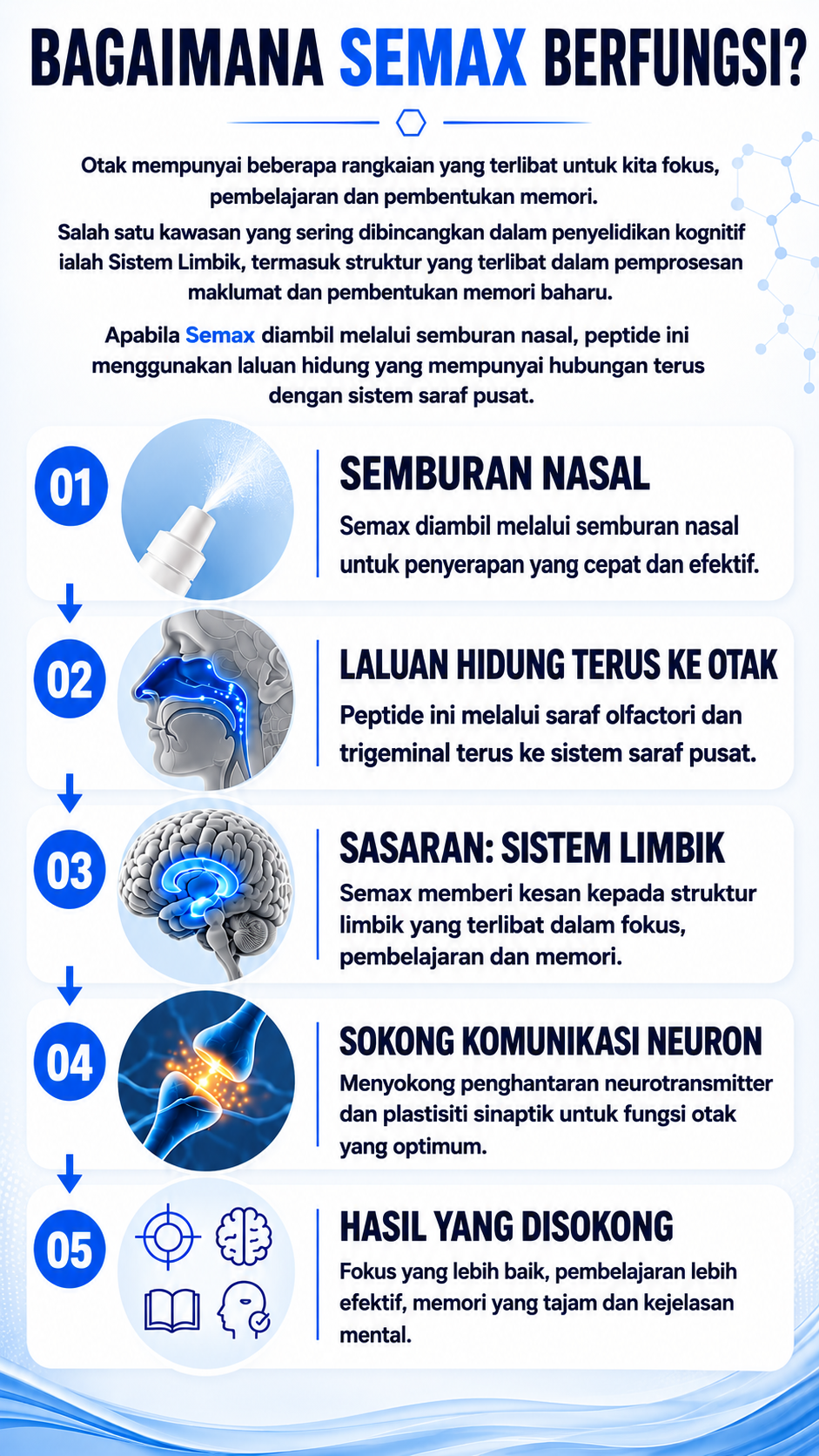 Bagaimana Semax berfungsi